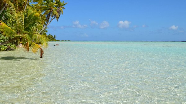 Louez un véhicule à rouen : options variées et prix réduits