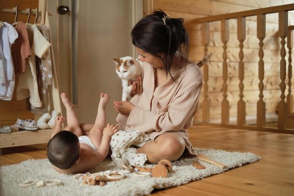 Aventures familiales : plaisir pour tous