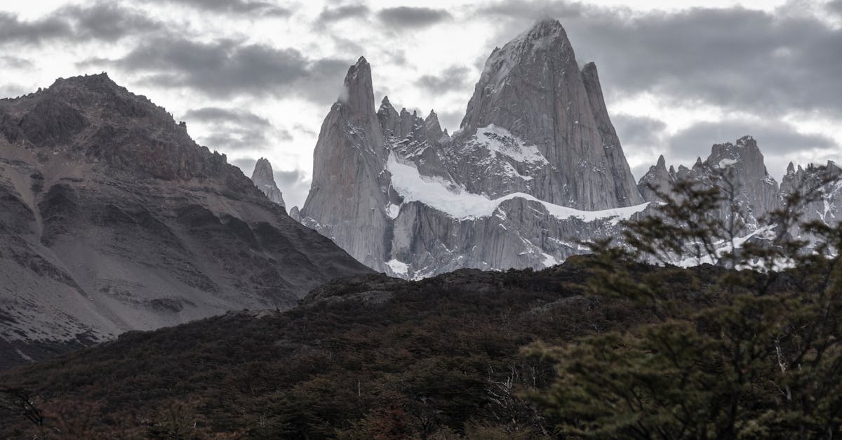 découvrez la beauté sauvage de la patagonie argentine, avec ses paysages spectaculaires, ses glaciers majestueux et sa faune unique. partez à l'aventure dans ce paradis naturel aux confins de l'argentine.